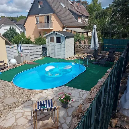 Chillkroete * 巴特索伯恩海姆