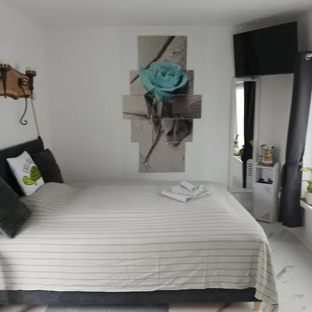 Chillkröte